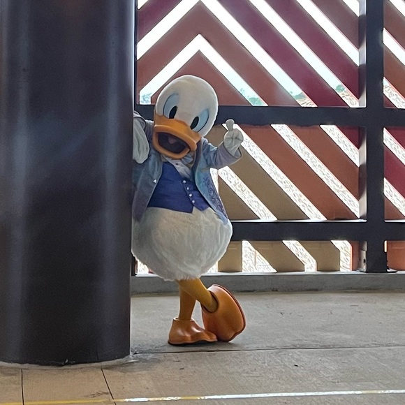 Meet your Posher, Alyssa - Picture 3 of 6